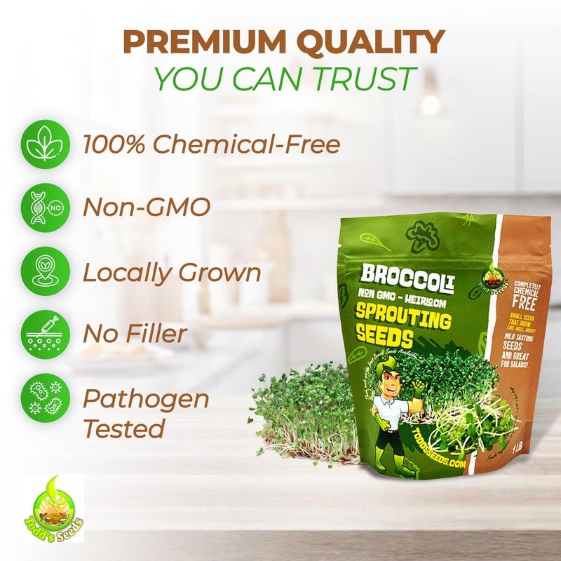 Todd’s Seeds - Calabrese Broccoli Sprouting Seeds, 1 lb -