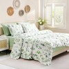 Botanical 6-Piece Queen Bed Sheets Set, Boho Floral Print Brushed