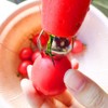 Strawberry Slicer, Strawberry Huller, Strawberry Pedicle Remover, Stainless Steel, for