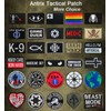 Antrix Reigning Hide and Seek Champion Tactical Military Emblem Badge