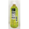 Matcha Genmaicha,Unsweetened Green Tea, 16.9 fl oz, 500ml, Pack of