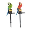 OSALADI Bird Decoration 2 Pieces Parrot Garden Stake Solar Light
