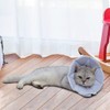 WZ PET Soft Elizabethan Collar for Dogs and Cats, Post-surgery