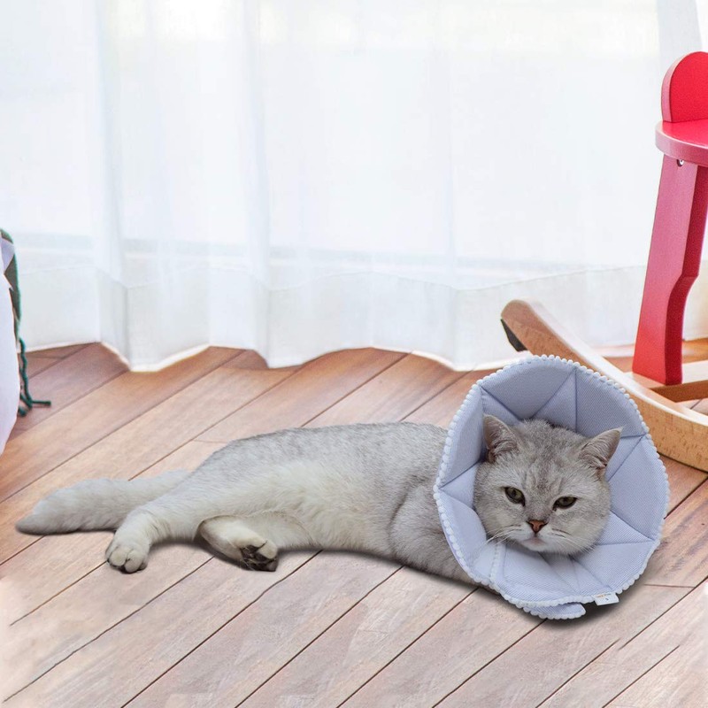 WZ PET Soft Elizabethan Collar for Dogs and Cats, Post-surgery
