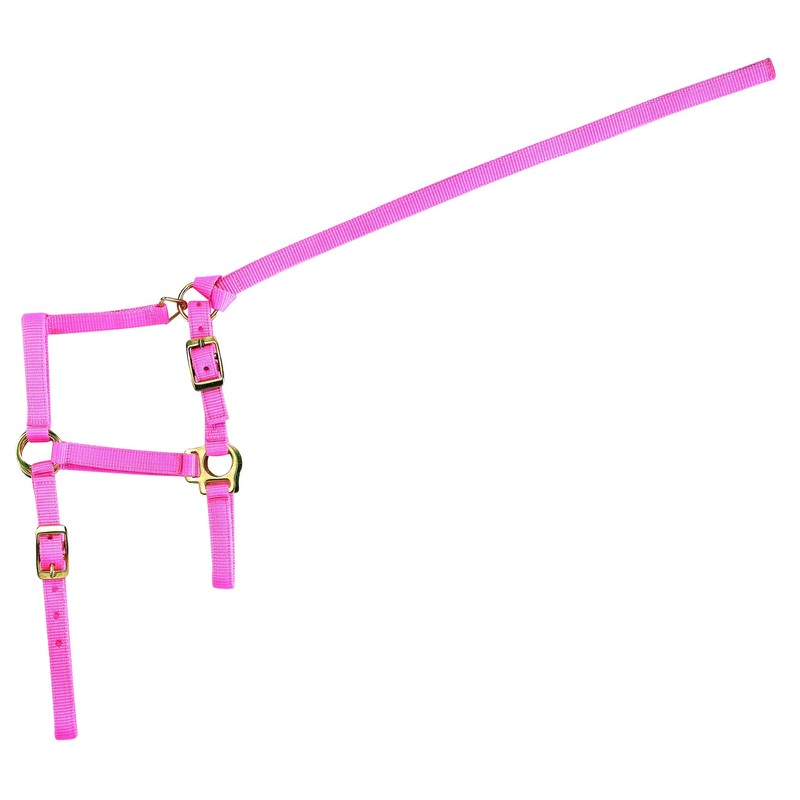 Unbekannt Nylon Equi Economy Pack, Pink