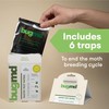 BugMD Pantry Pest Patrol (6 Count) - Moth Traps for