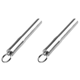 SagaSave 2 Pcs Keychain Pill Holder Mini Stainless Steel Toothpick Holder Pill Capsule Case Portable Waterproof Small Pocket Pill Case for Storing Pill Capsule Oral Liquid Match