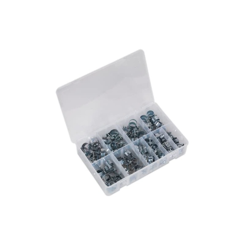 Mini Hose Clip Assortment 100pc