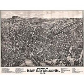 New Haven, Connecticut - 1879 - Aerial Bird's Eye View Map Poster