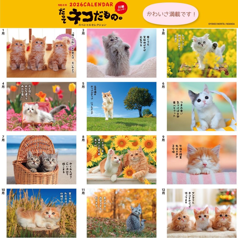 Active Corporation 2026 Calendar Wall-mounted Because It's a Cat, Isn't