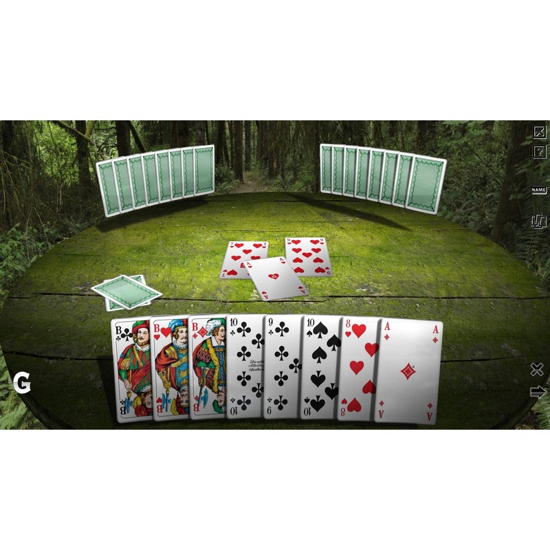 The Royal Club - Skat 9 (PC Windows 10 /