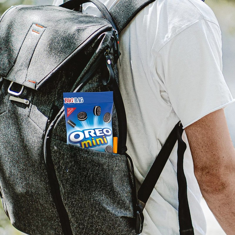 Mondelez International Nabisco Assorted Snack Pack Cookies Crackers 15 Big