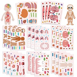 24 Sheets Anatomy Stickers Cute Organs DIY Make A Face Stickers Human Organs Stickers Funny Medical Stickers Waterproof Vinyl Stickers