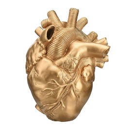 MANMAOHE Gold Anatomical Heart Vase Creative Heart Shaped Vase Resin Decorative Flower Vase Modern Art Flower Vase for Home Decor, 3.1x4.5x5.9inch