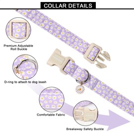 Lionet Paws Floral Dog Collar- Cute Daisy Purple Dog Collars with Plastic Buckle, Light Adjustable Dog Collars for Small Dogs