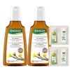 Rausch Coltsfoot Anti Dandruff Shampoo 200ml + Herbal Care Shampoo 12.5ml + Herbal Care Conditioner 15ml set, 2 pieces / 라우쉬 콜츠푸트 안티 댄드러프 샴푸 200ml + 허벌 케어 샴푸 12.5ml + 허벌 케어 컨디셔너 15ml 세트, 2개