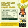 GORNVB (2 Pack) Mullein Drops for Lungs - Lungs Cleanse