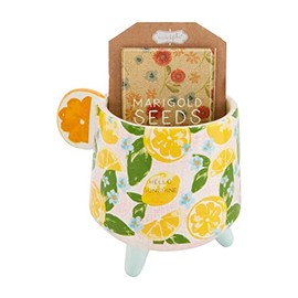 Mud Pie Hello Sunshine Pot W Seeds, Pot 4 1/2" x 4 1/4" | Seeds 4" x 2 1/2"