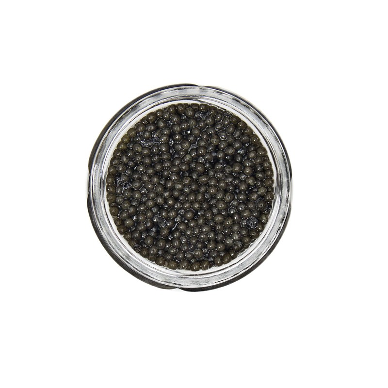 GUARANTEED OVERNIGHT! Premium Fresh American Wild Spoonbill Paddlefish Caviar 1