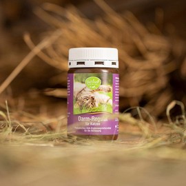 Sanct Bernhard tierlieb Darm-Regulat für Katzen Probiotisches Diät-Ergänzungsfuttermittel für die Verdauung - Inhalt 120 Kapseln