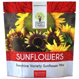 Sunflower Variety Mix 10 Types of Beautiful Sunflowers - Bulk 1 Ounce Packet - Open Pollinated Sunflower Seeds