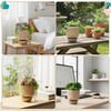 GioXtra Funny Toilet Tray Flower Pot - 1Pcs Creative Mocha