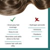 Leganza Hair Coloring Conditioner Natural Balm Color Silver Blonde Nº