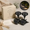 12-LED Solar Ground Lights for Outdoor Landscaping – IP65 Waterproof