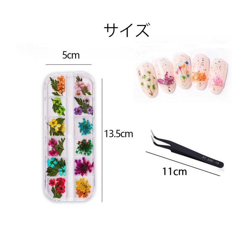 YFFSFDC Nail Pressed Flowers Dried Flowers for Nail Art Resin