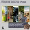 ARCHETYPE BRANDS Peppermint Oil to Repel Mice Dic
