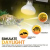 CALPALMY (4-Pack 100W Reptile Heat Lamp Bulbs - UVA Daylight