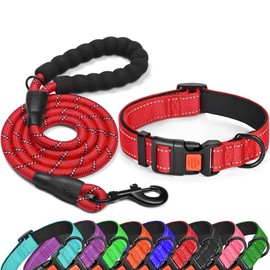 tobeDRI Reflective Nylon Dog Collar – Soft Neoprene Padded, Reflective and Adjustable - Dog Collars for Small Medium Large Dogs
