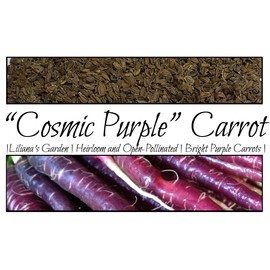 “Cosmic Purple” Carrot Seeds – Fast-Growing Carrot – Harvest in 75 Days | Daucus Carota VAR. Sativus | Never GMO, Always Heirloom and Open-Pollinated | USA Grown Seeds by Liliana's Garden |