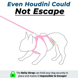 Wuffley Escape Proof Dog Harness and Leash Set, Lightweight Dog Harness with Lift and Assist Handle, No Pull Reflective Pet Vest for Small Medium Dogs, Ideal for Puppy Walking and Training (Pink, M)