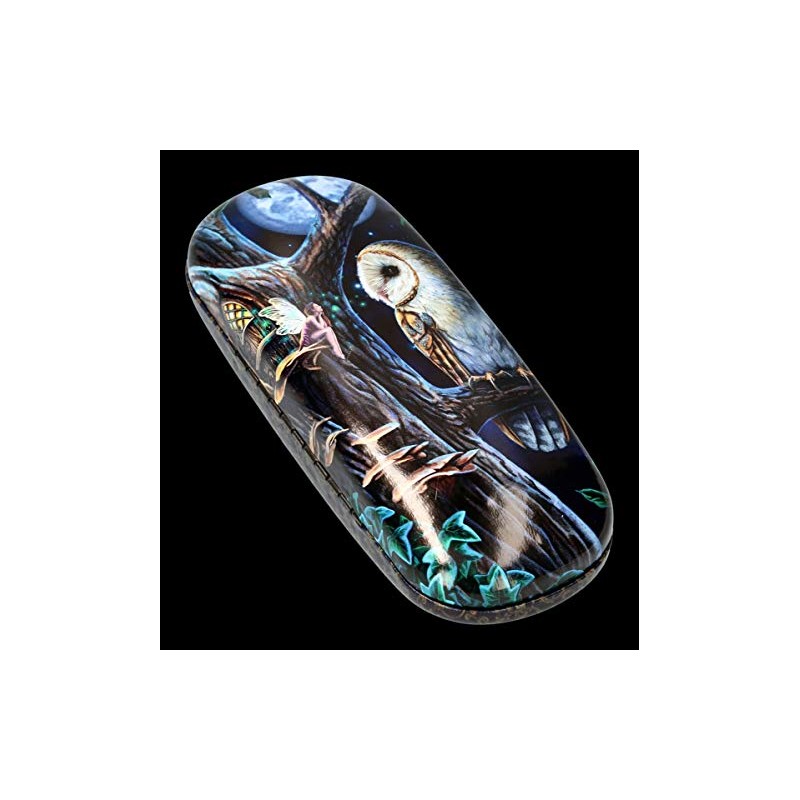 Lisa Parker Fantasy Glasses Case with Owl Fairy Tales Hard