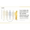 Cellx Espermidina 20mg Dos Meses Taurina Usp Resveratrol Estimula Autofagia