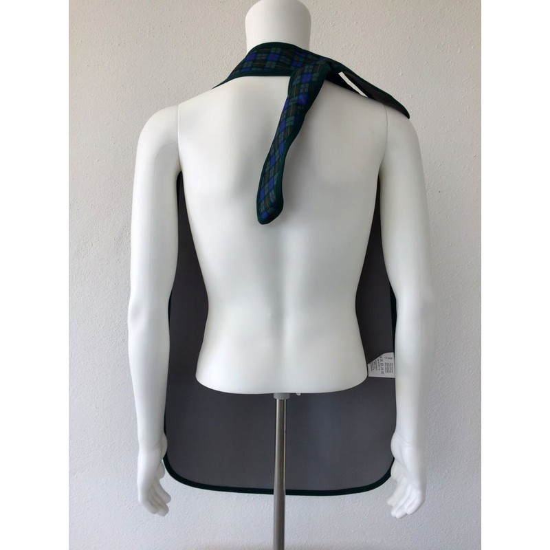 PFLEGE POINT® Adult Clothing Protector Waterproof Apron with Buckle, green-blue