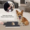 Dog Nail Board Wooden Anxiety Free Sandpaper Dog Nail File
