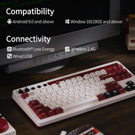 AKNES 8Bitdo Retro Mechanical TKL Keyboard, Hot Swappable with 87 Keys, Dual Programmable Buttons, Bluetooth / 2.4G / USB-C for Windows and Android - Fami Edition