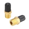 2 Pieces Brass Schrader Valve, NPT Tank Valves with 1/4"