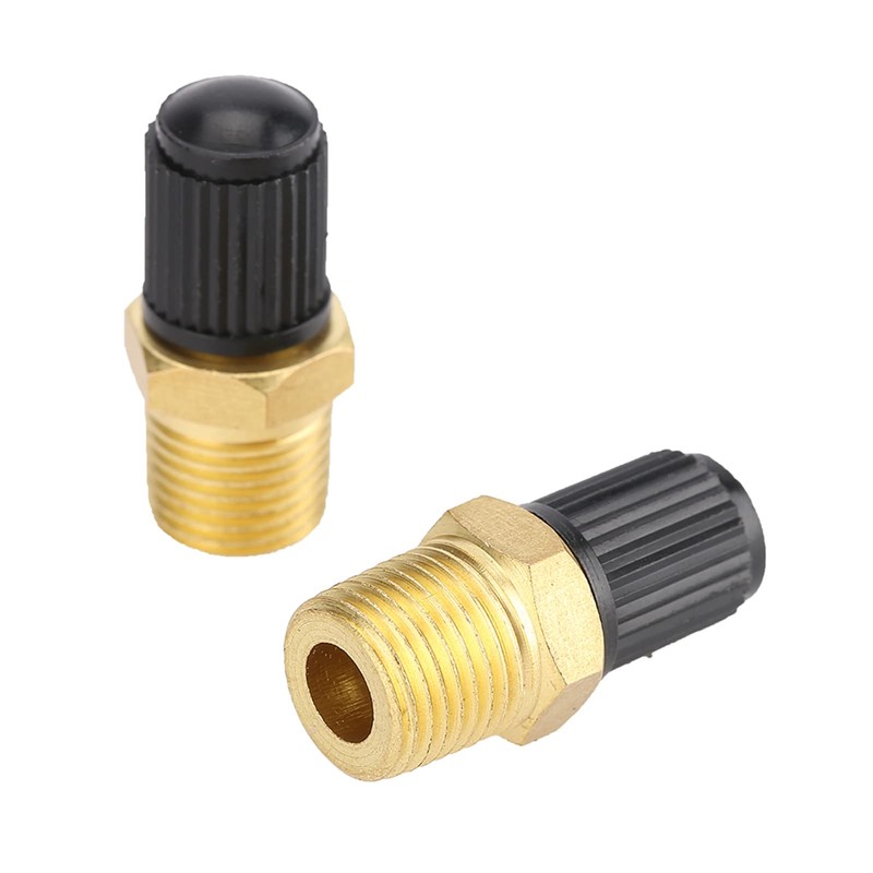 2 Pieces Brass Schrader Valve, NPT Tank Valves with 1/4"