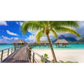 Painting Wallpaper Poster Removable Self Stick Polynesia borabora Island Water Cottage Palm Trees Beach Resort Sea Healing Panorama Character Black rpln – 106s1 1152 mm × 576 mm Architecture Mural Weather Resistant Paint