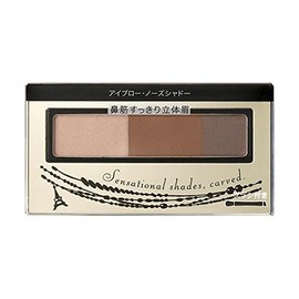 Shiseido integure-to Tool & no-zusyado- br631 2.5 G