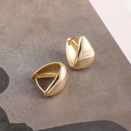 ASH'S CHOICE 925 Silver Hoop Earrings, Small Women's Earrings, Chunky, 14K Gold Hoop Earrings, Thick Cartilage Hoop Earrings, Huggie Hoop Earrings, Mini Hoop Earrings, Lightweight, Wide Earrings for