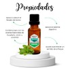 Aceite Esencial de Hierbabuena Natural Puro Aromaterapia