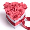 ROSEMARIE SCHULZ Heidelberg Infinity Rose Box Heart Shape with Dedication