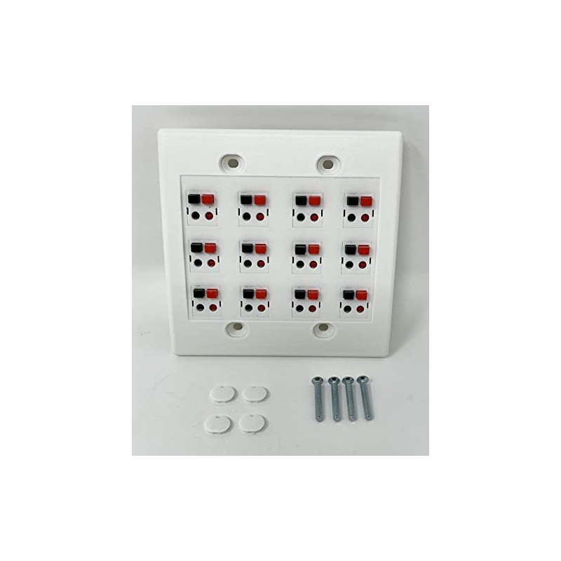 RiteAV 12 Port Speaker Jack Dual Gang Wall Plate for