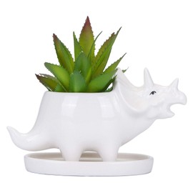 VanEnjoy Desktop Cute Cartoon White Triceratops Dinosaur Ceramic Succulent Pot with Tray, Tabletop Bonsai Cactus Flower Pot Vase Holder Decorative Organizer