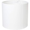 ELPA PD-SH01(W) Single Light Pendant Sage, White