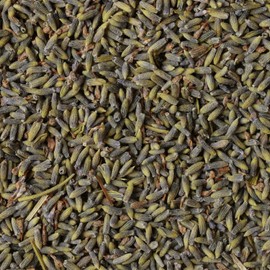 Lavender Flower Herb Tea